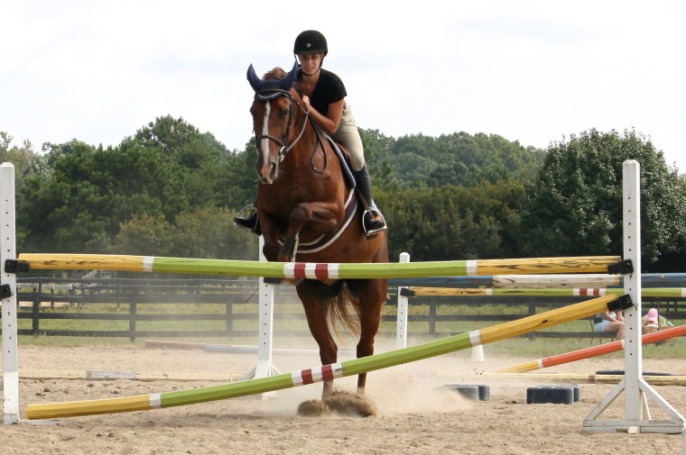 Polegate Horse Riding pole-distance-guide – Equestrian Digest
