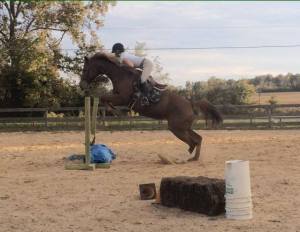 Abbi VS Tarp: Round 2