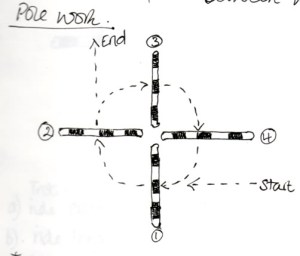 Do this at the canter: Your goal is to have the same number of strides between every pole (This is very challenging when done properly)