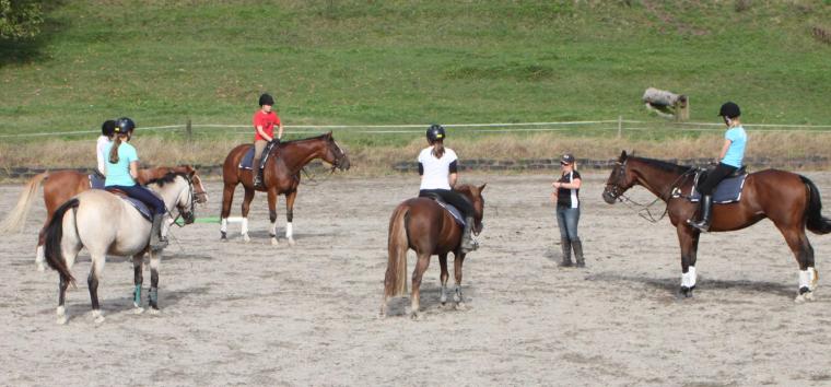 group-horseback-riding-lessons