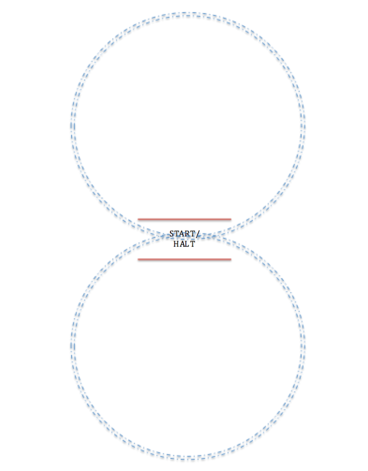 Canter-Halt Exercise