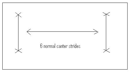 Canter Pole Diagram