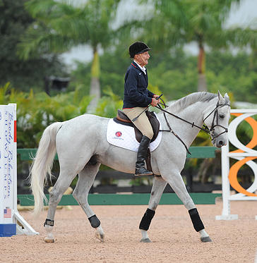 a86a08_c78e124b81054a56b68d6b8f53ec3b59