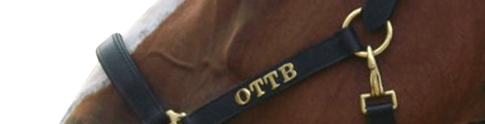 ottb-banner