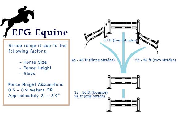 EFG-Equine-presents-Ann-Krisinski-Jumping-Exercise