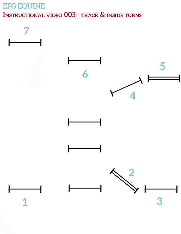 Instructional-Video-003-Course