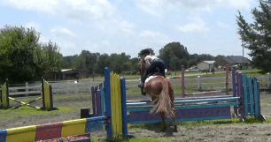 Oxer-to-vertical-rollback