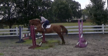 Screen Shot 2017-06-29 at 3.21.44 PM