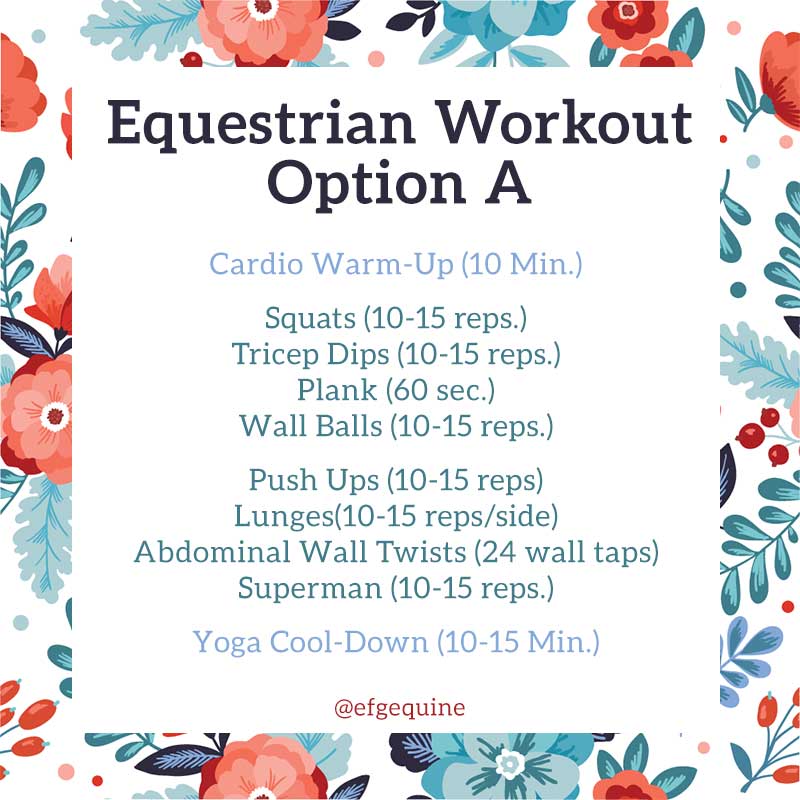 EFG Equine Equestrian Gym Workout A